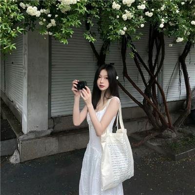 狐及其友